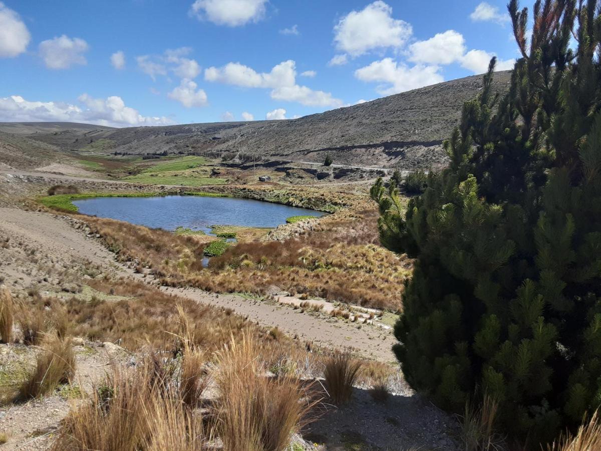 Hospedaje Chimborazo Экстерьер фото